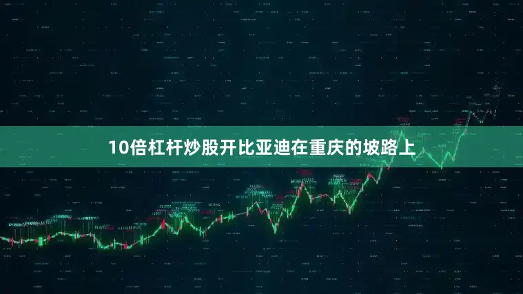 10倍杠杆炒股开比亚迪在重庆的坡路上