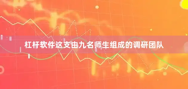 杠杆软件这支由九名师生组成的调研团队