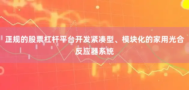 正规的股票杠杆平台开发紧凑型、模块化的家用光合反应器系统