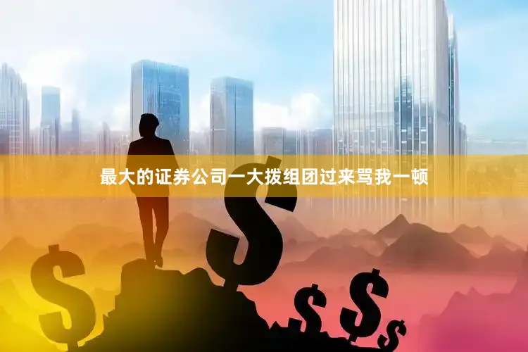 最大的证券公司一大拨组团过来骂我一顿